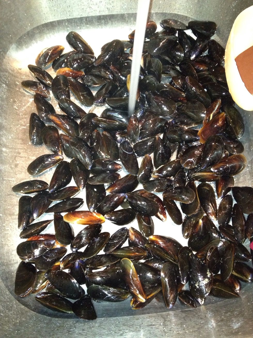 Now time to wash mussels