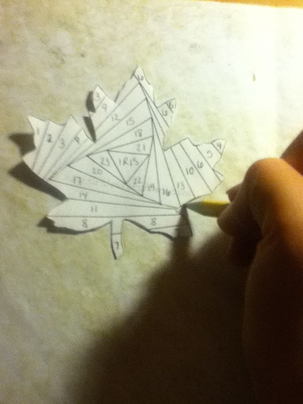 Now trace around the outline