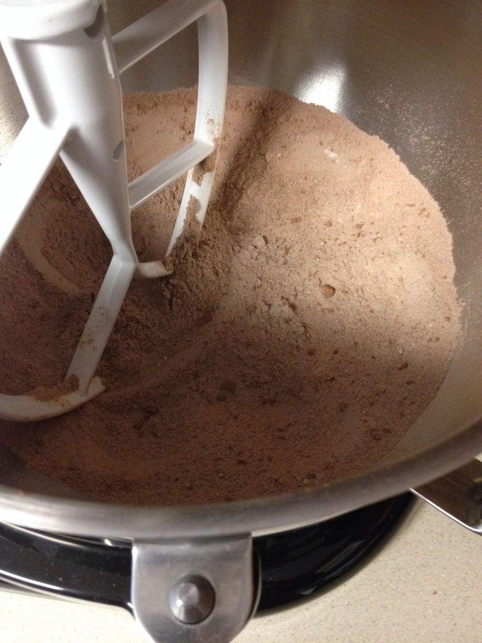 Now turn the mixer on low and add all of the wet ingredients and then turn mixer to medium speed until well combined