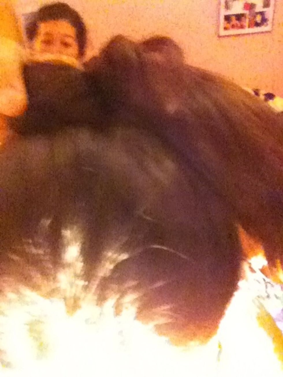 Now twist the hair and make a little bun