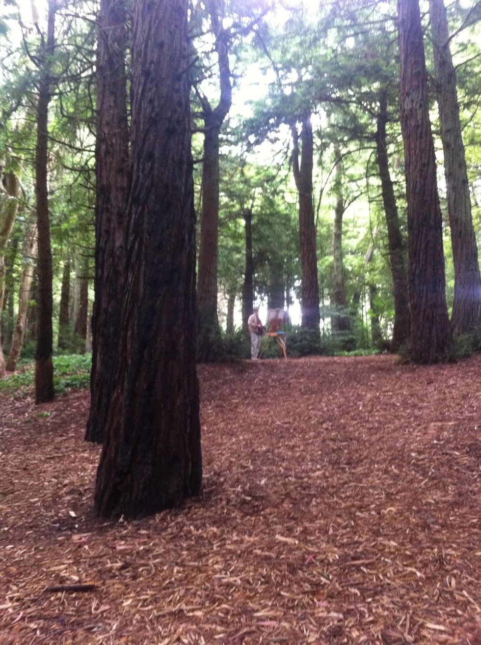 Now watch a main paint in the Forrest