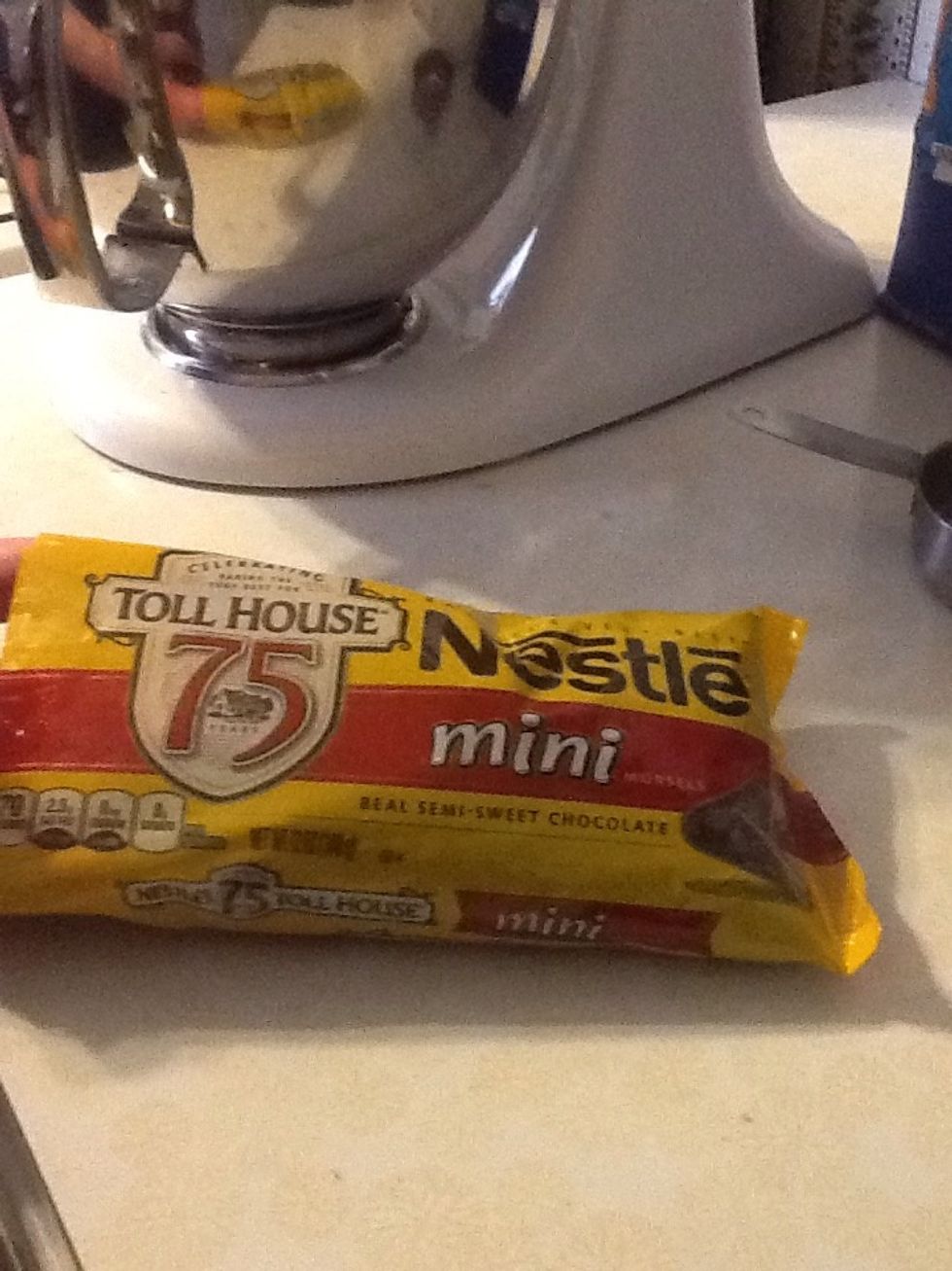 Now we add the whole bag of the chocolate chips