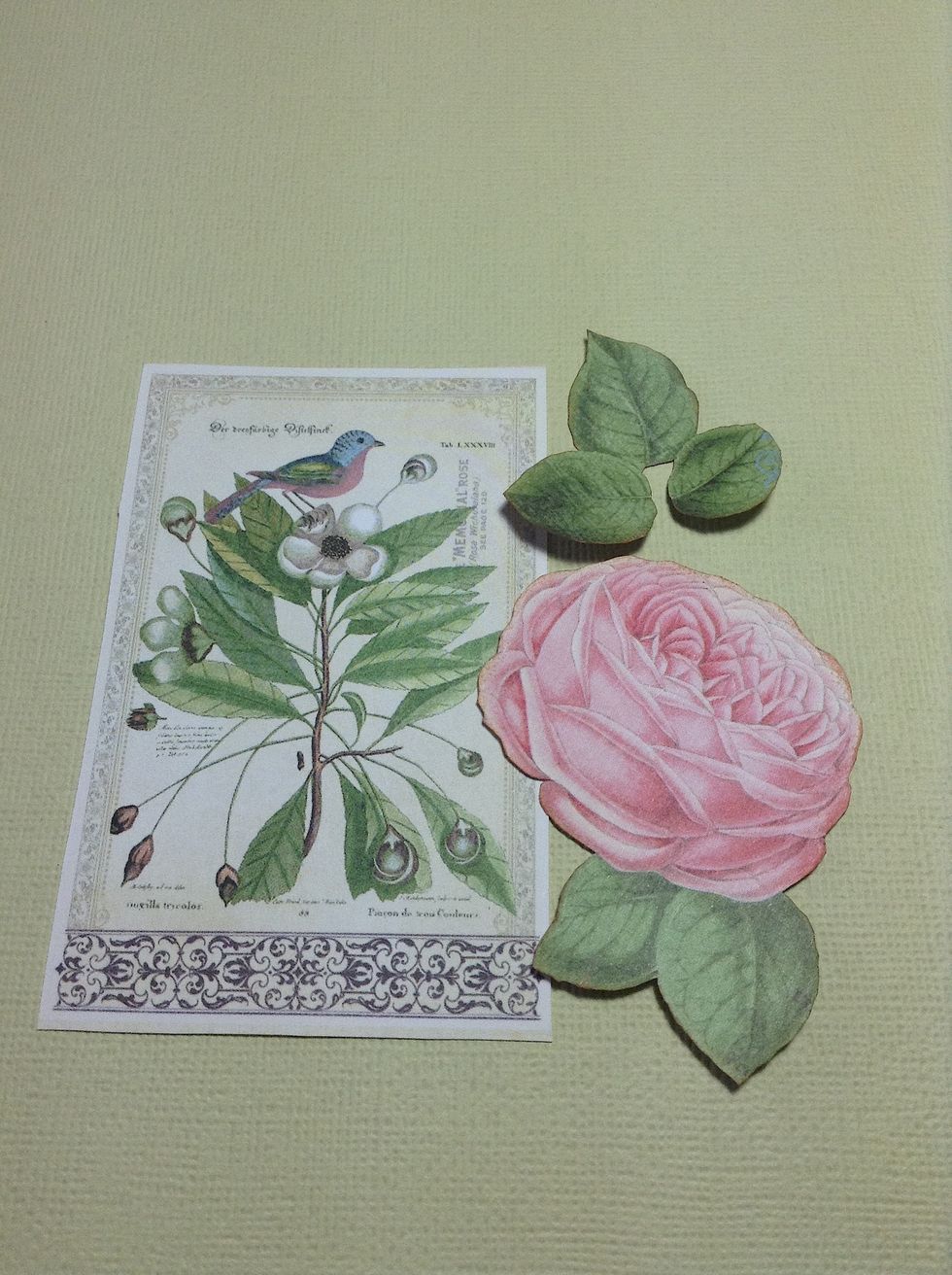 Now we cut the images for the cover of the card