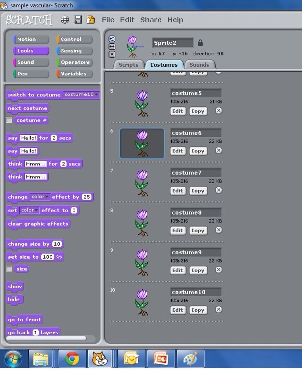 Now we'll duplicate costume 1 five more times to make 10 copies. We will create red sections  to illustrate the xylem. Keep costume 6 plain to start the sequence.