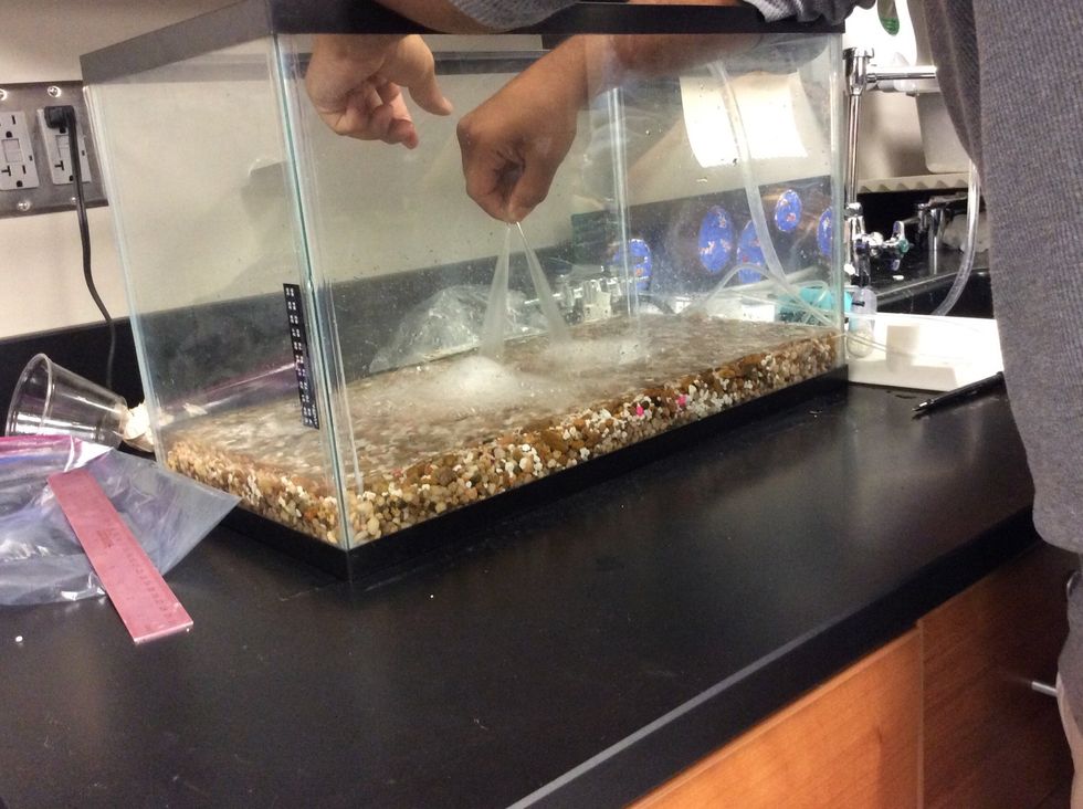 Now you add water into the tank.