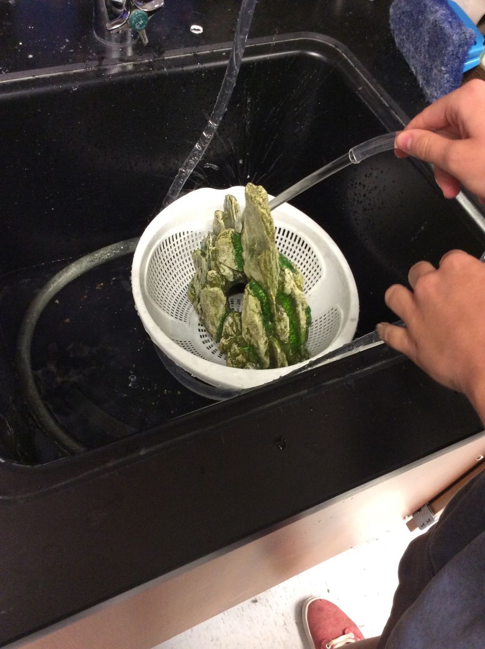 Now you can add a big peace of rock or anything but you have to clean it first