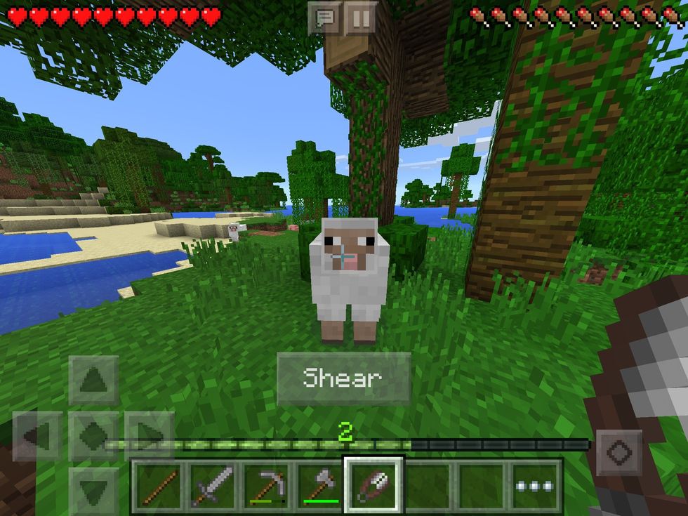 Now you can go shear some sheep...