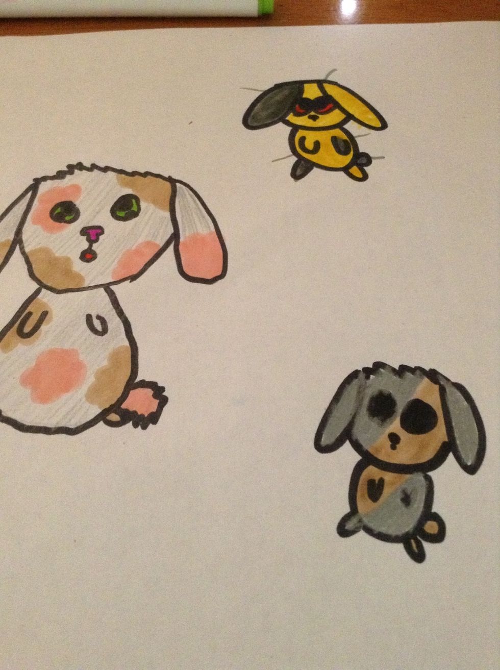 Now you can make all kinds of bunnies!