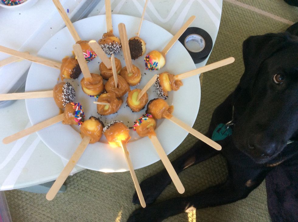 Now you can make your own and have them be so tasty that your dog will beg for them!!!
