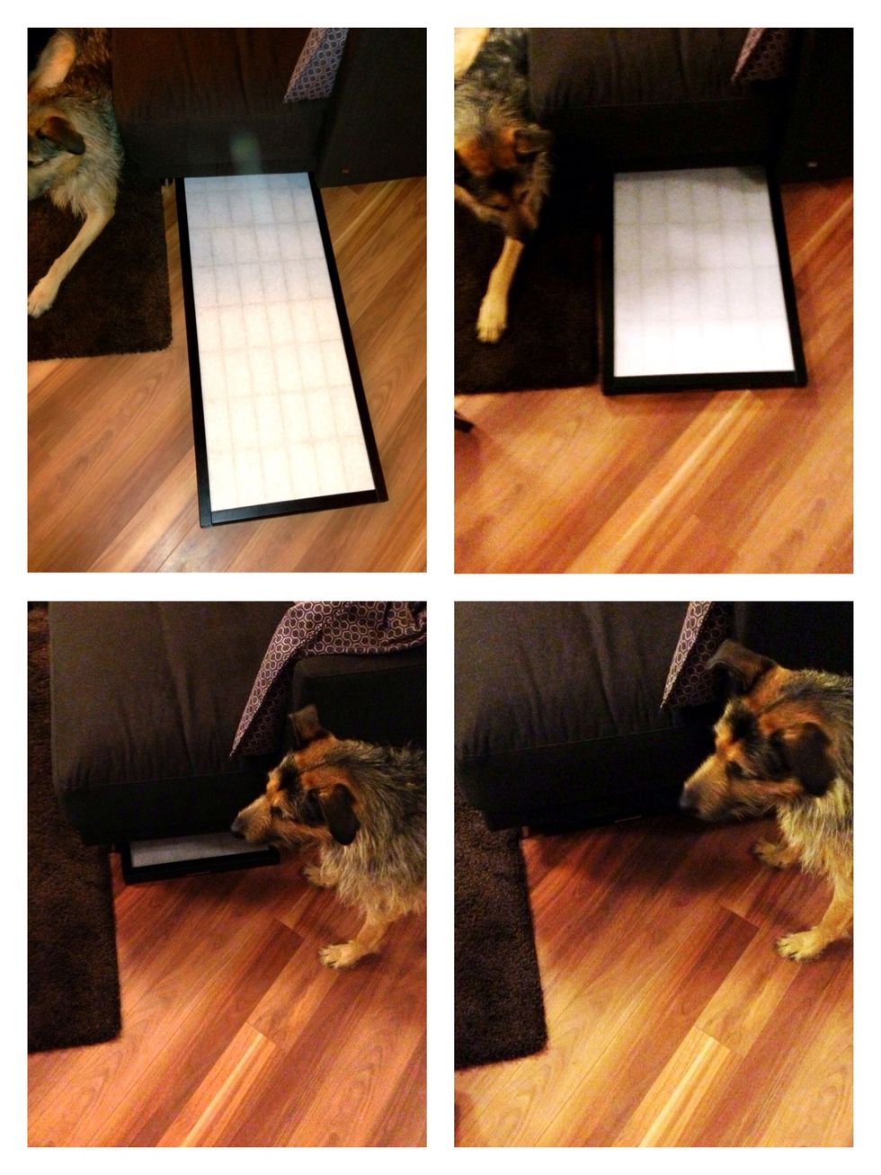 Now you can slide it under the sofa.