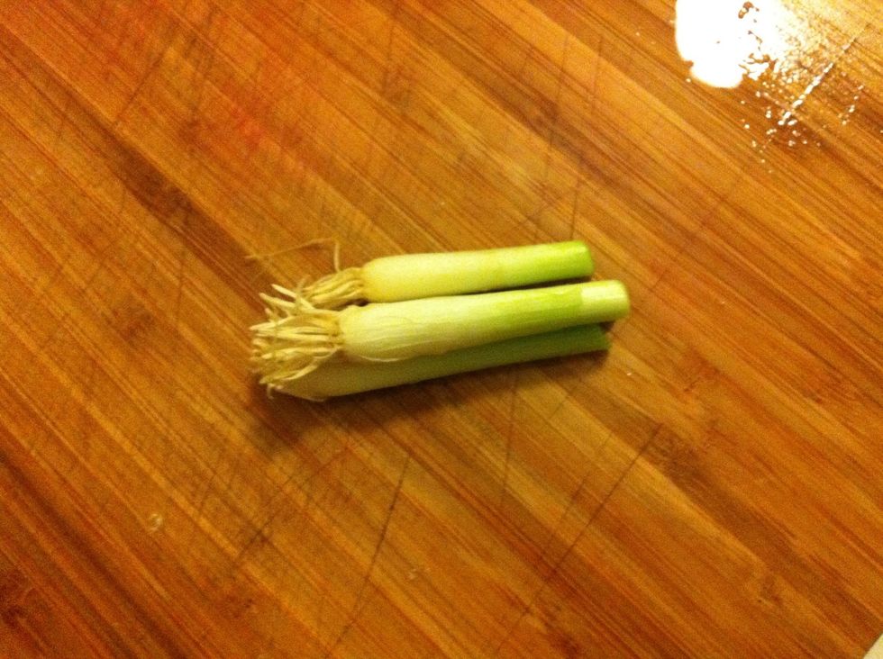 Now you have your onion root...