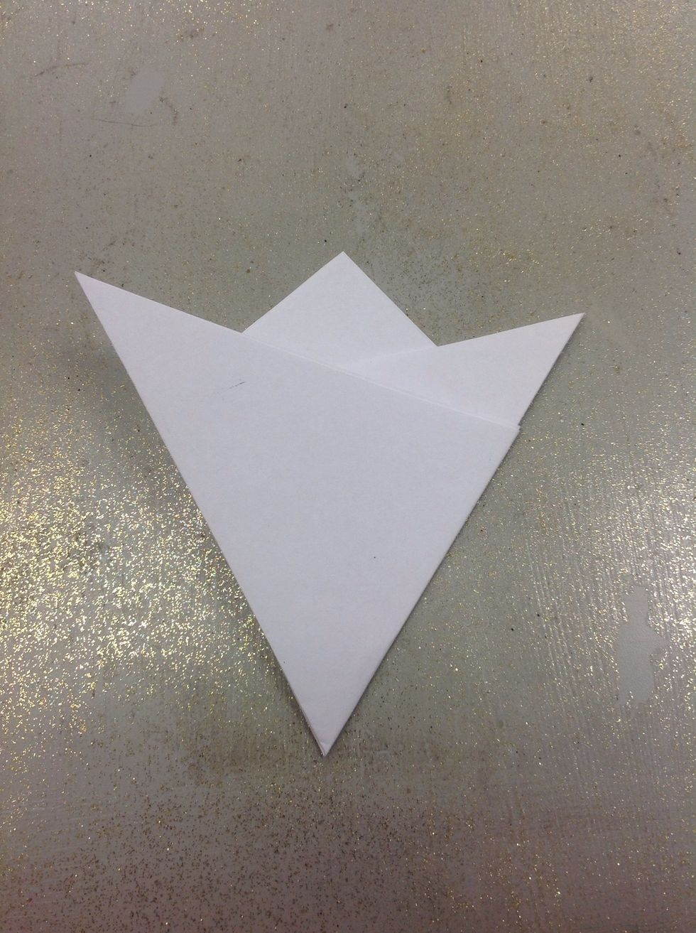 Now you'll have this! You may have to readjust your folds a few times to get all of the creases to line up. ~Which is, once again, very important!~