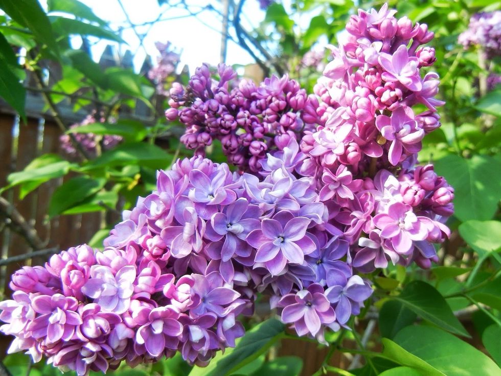 Now you're on your way to becoming a pro photographer! (;
