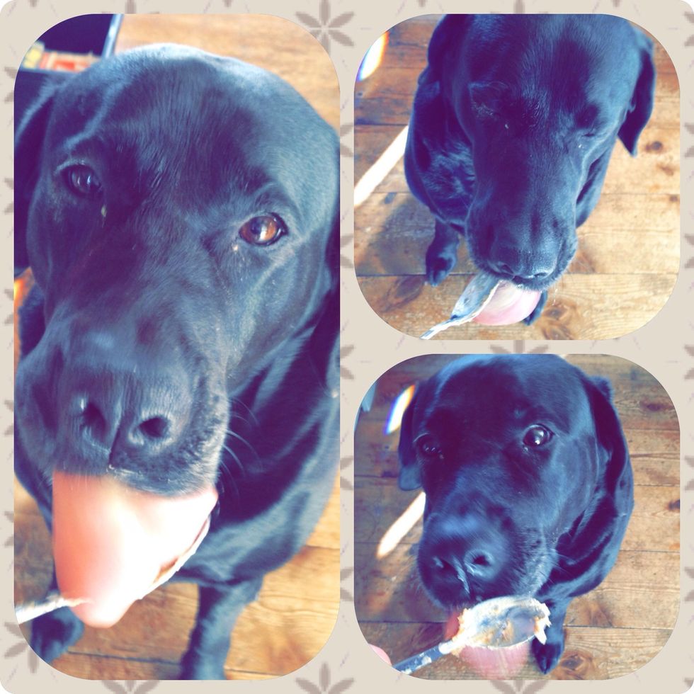 Now your patient dog can help you clean the bowl and spoon, while waiting for the treats to freeze \ud83d\udc36