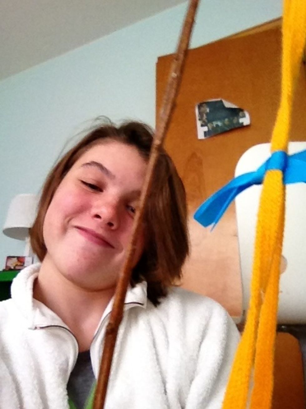 Nows the fun part- cat hunt