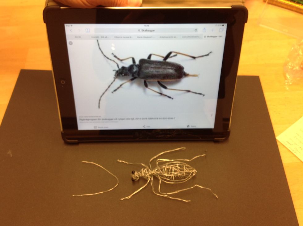 Nu \u00e4r din insekt klar. B\u00f6j till benen.