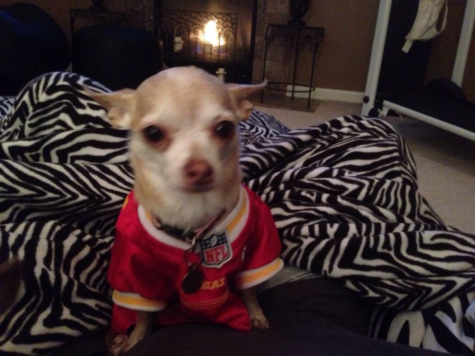 Of course the wetness of snow can affect the depth, but this works well enough for my needs.