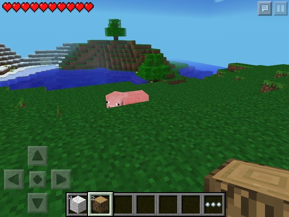 Oh a Pig...KILL IT FOR FOOOOD!!!