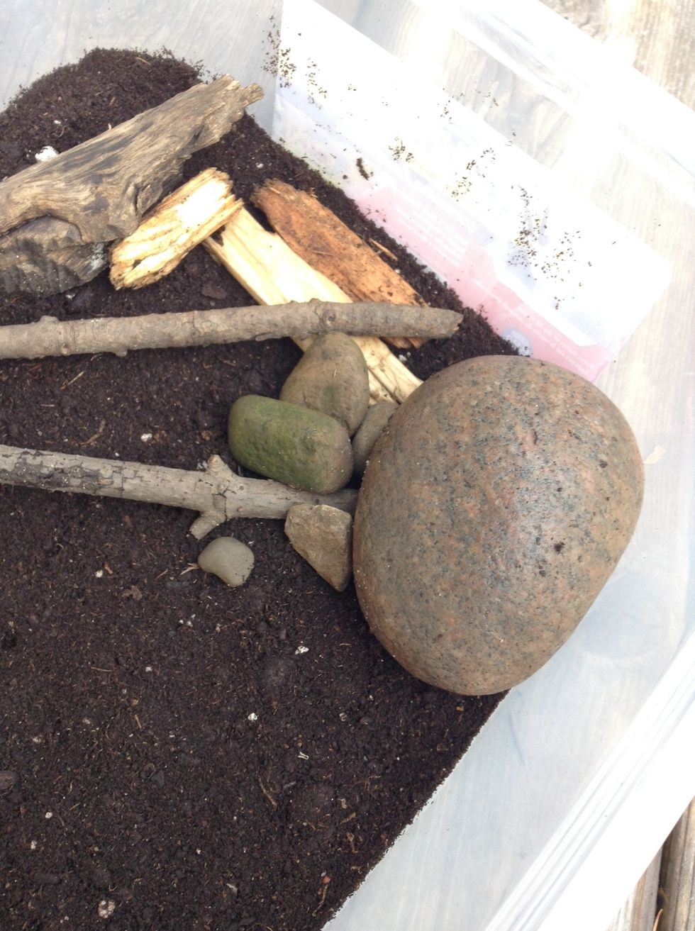 Oh and don't forget some rocks