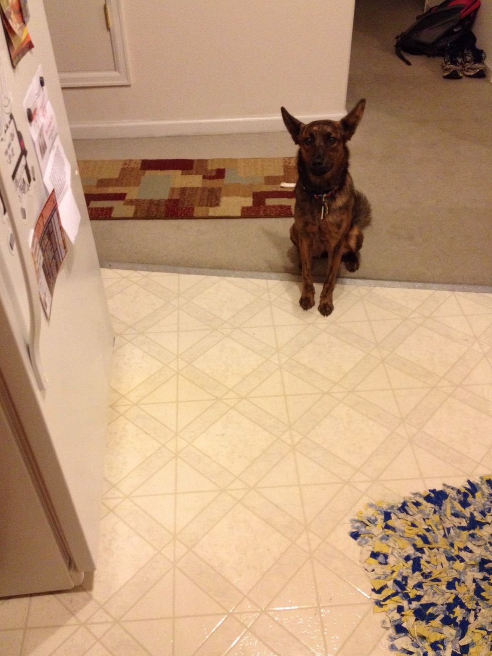 Oh hey, whatcha makin'?!