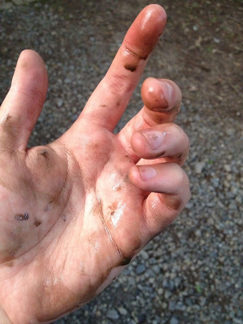 Oh, I don't know what this is, but it was everywhere, and I'm pretty sure it stains clothes, so heads up. I kept a rag and a bucket of water nearby to rinse my hands every once in a while.