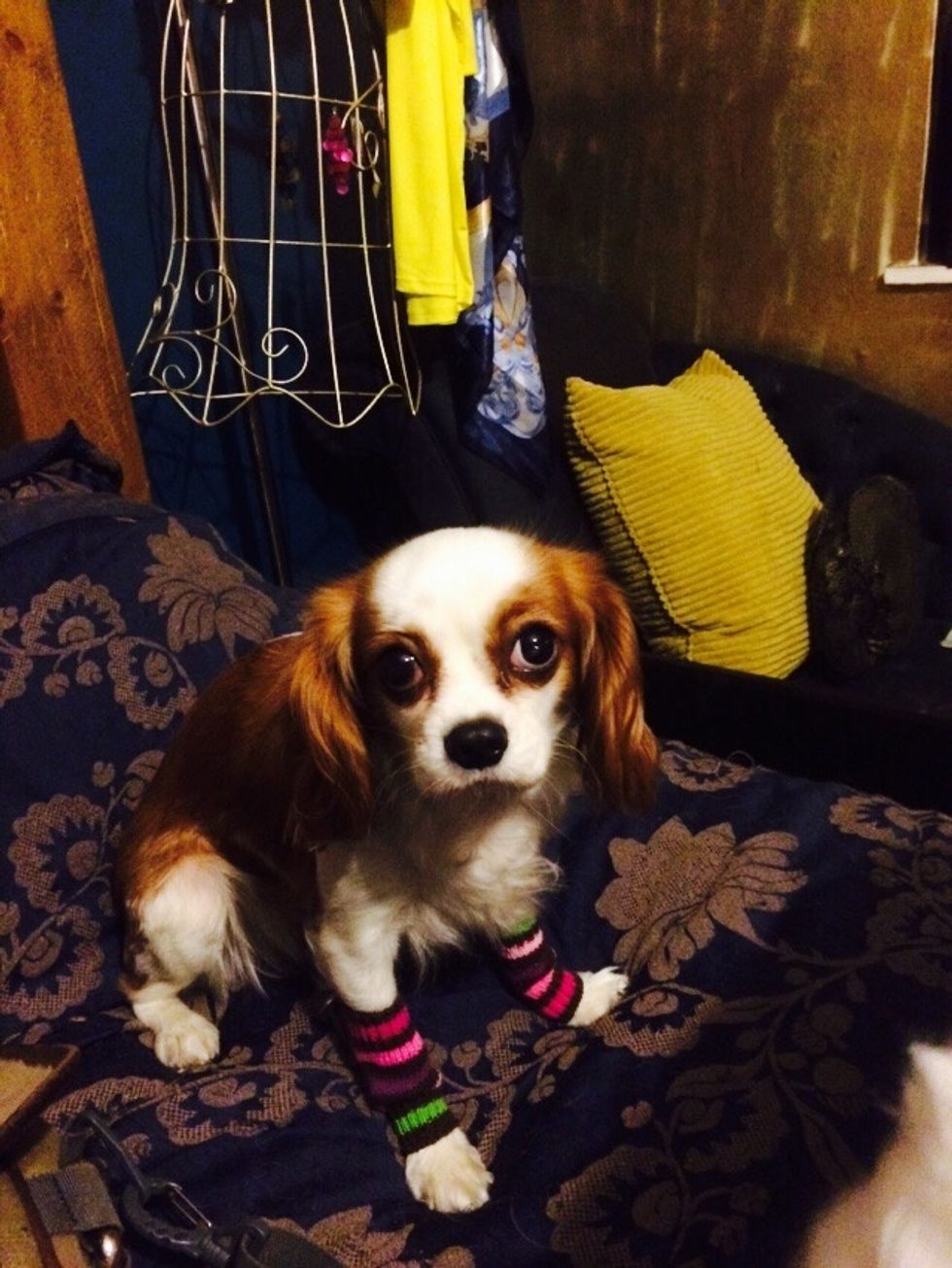 Oh.... She will need to look the part. Leg warmers on!