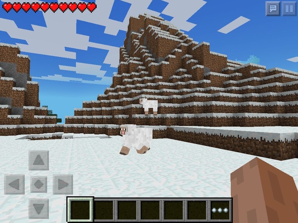 Oh There's 2 Sheepskin There...KILL THEM!!!!!!