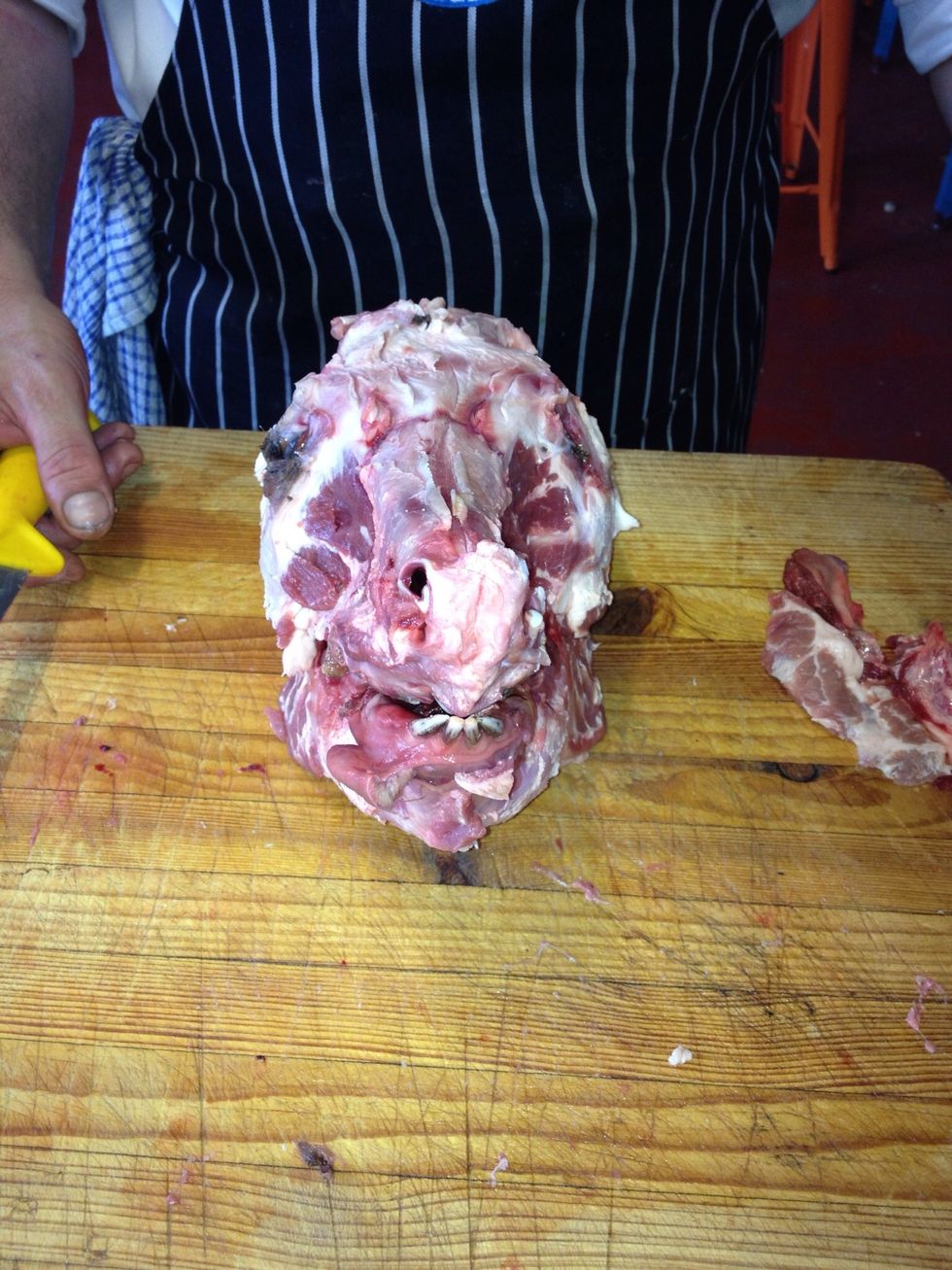 Oink oink!