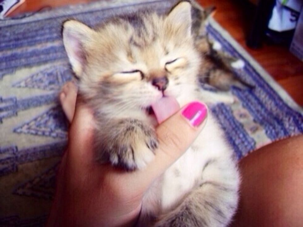 Ok .!!! Let me admit that ones a little blur !!but wether a nice pic !!