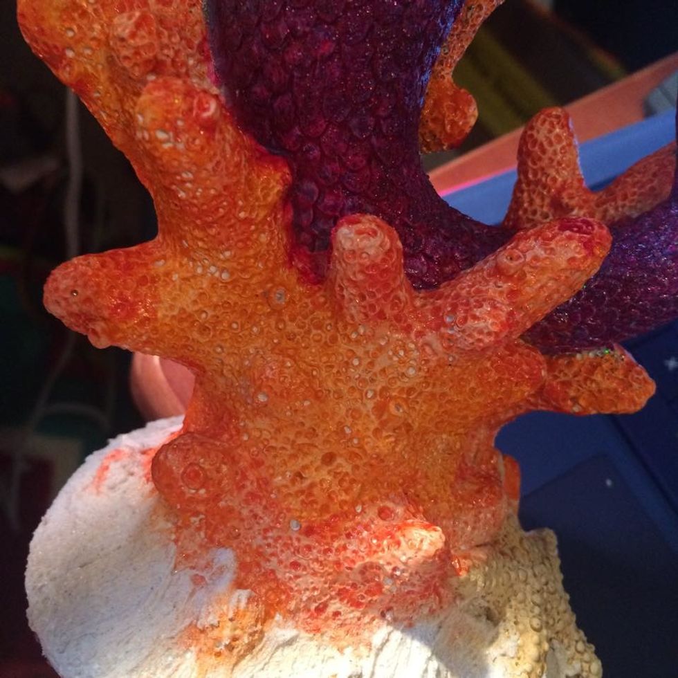 Ok now grab your Velvet in Tango, and paint wherever you didn't previously paint with the coral color. Go between the two colors until you have a nice variation.