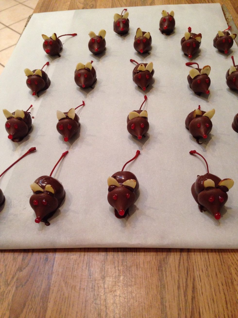 Ok, your army of mice are ready for the fridge. Let them harden up in there for a good 10 minutes or so.