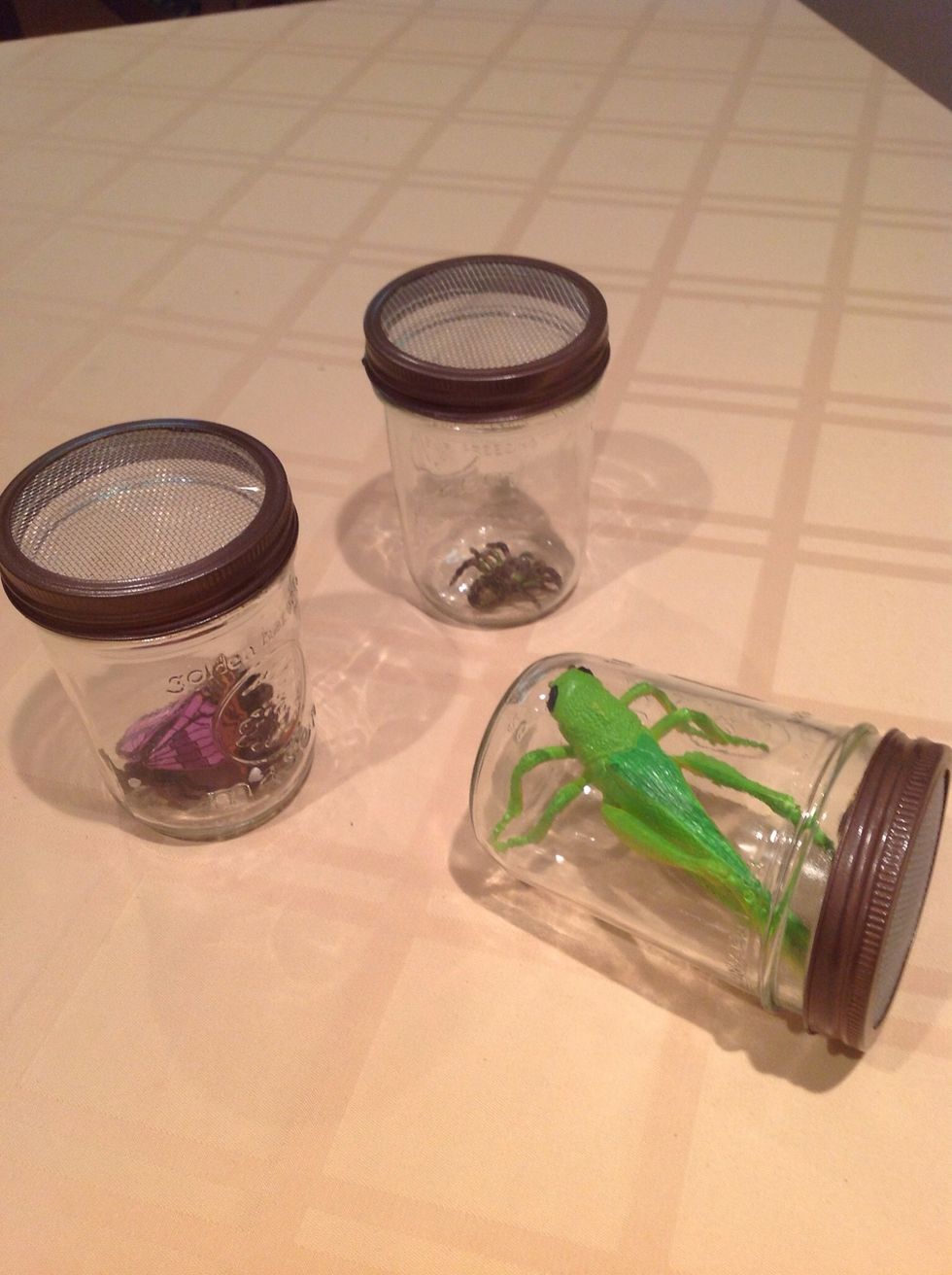 Old mason jars + old window screen= firefly jars!
