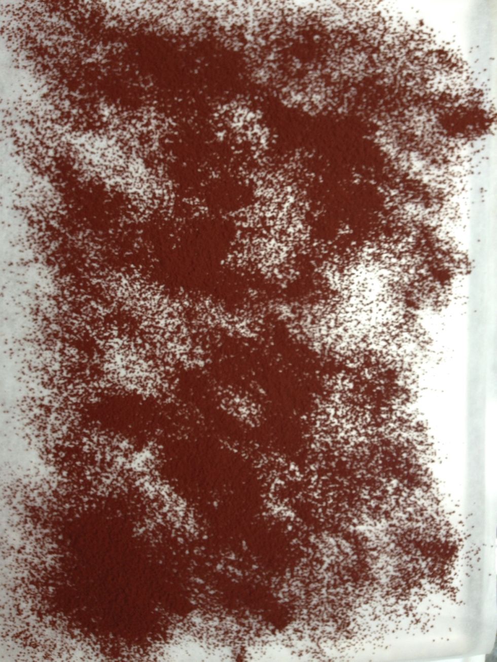 On a parchment paper, Sprinkle cacoa powder.