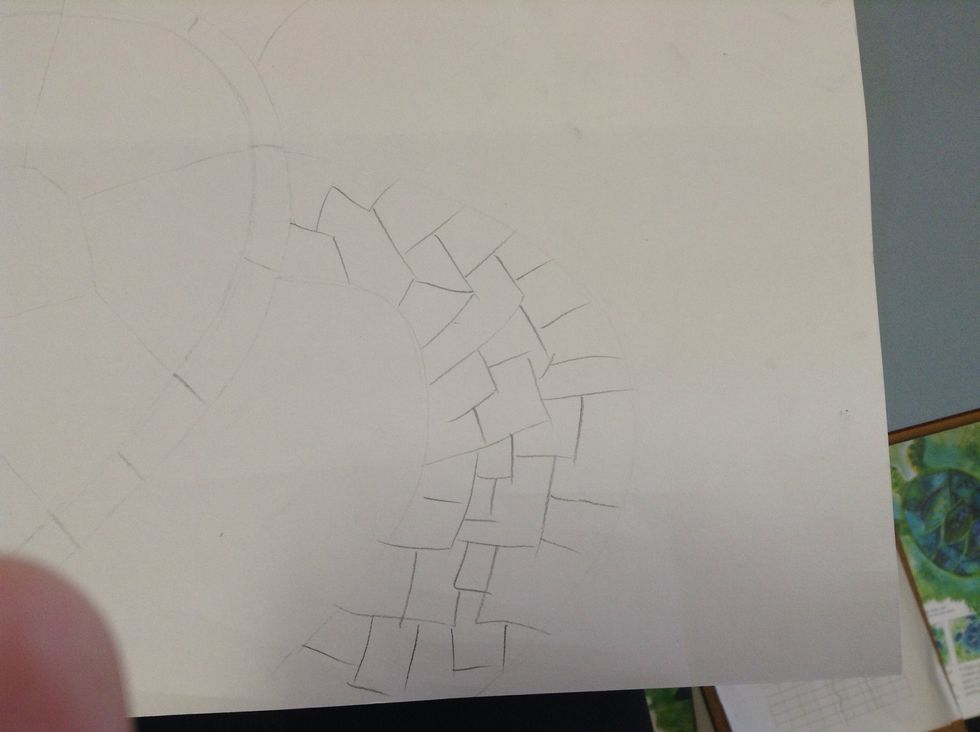 On all the flippers, tail and head, draw a variety of squarish shapes. These shapes will represent the leathery skin of the sea turtle.