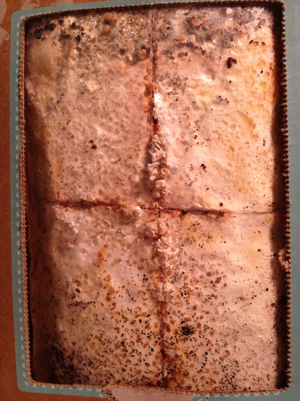 On day 6 in the evening, we are starting to see something sprouting.