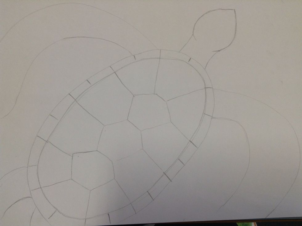 On each side of the shell near the top, draw to large flippers.