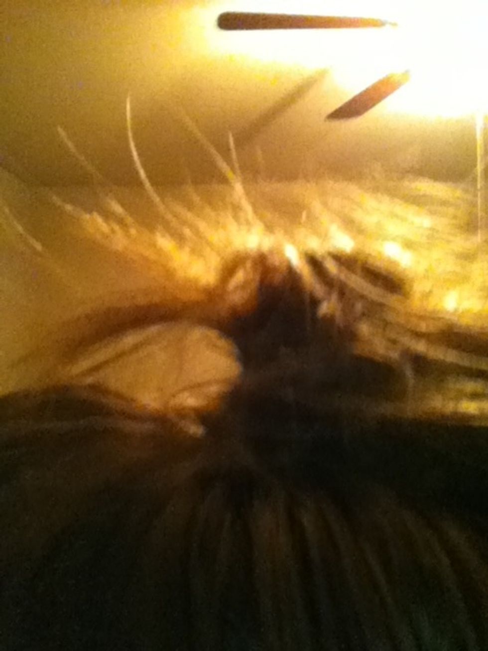 On some strands, tuck the middle of the strand instead of the end to make some pokey-outies:)