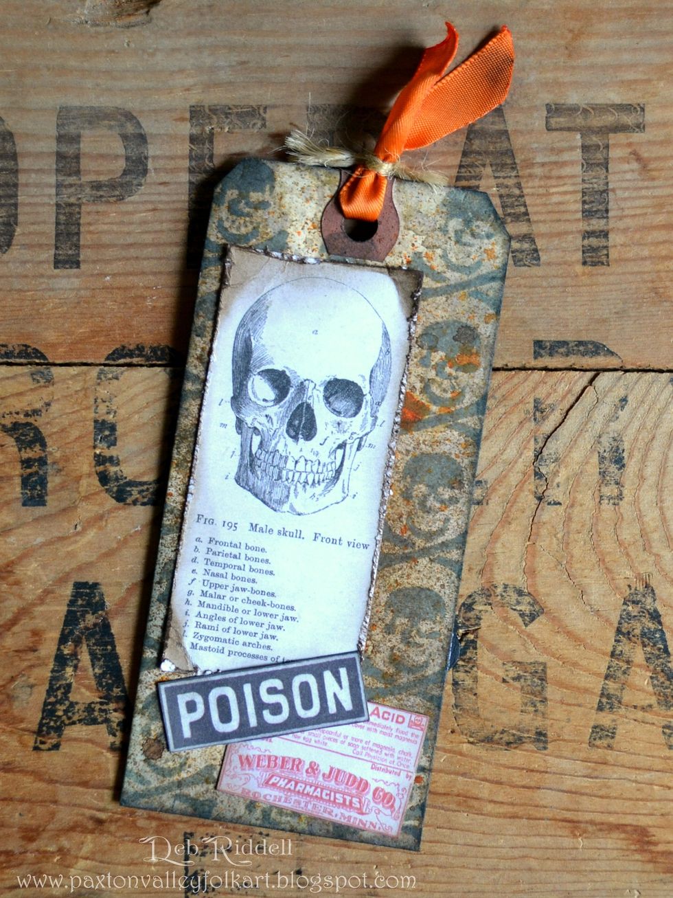 On the back of the same tag, add the anatomy skull and more images from the Frightful Ephemera pack and layer. Add another piece of orange ribbon tied on with jute twine.