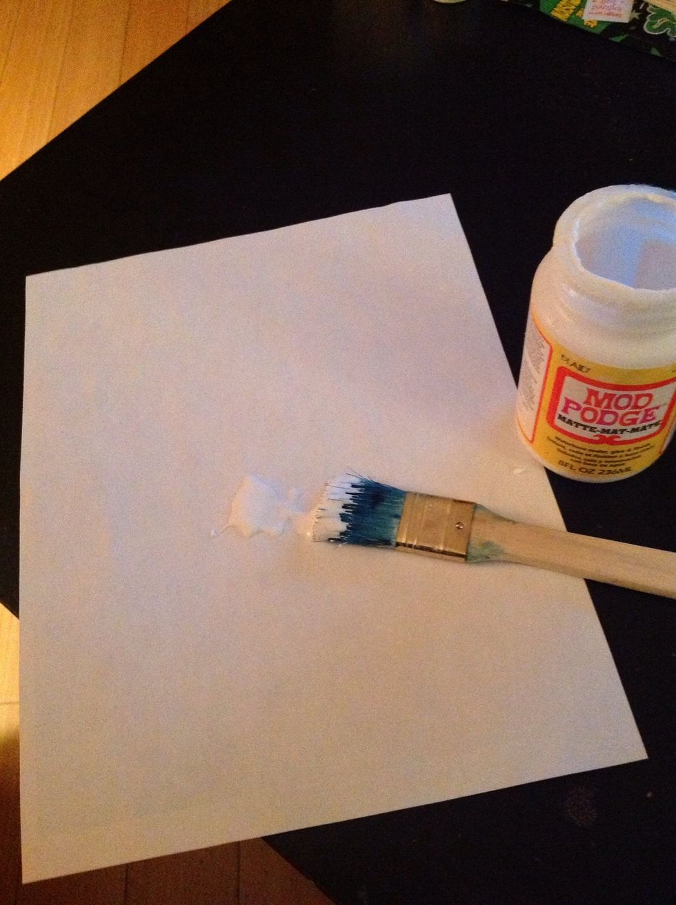 On the back of your printed picture, lay down a light layer of Modge Podge with one of your paint brushes