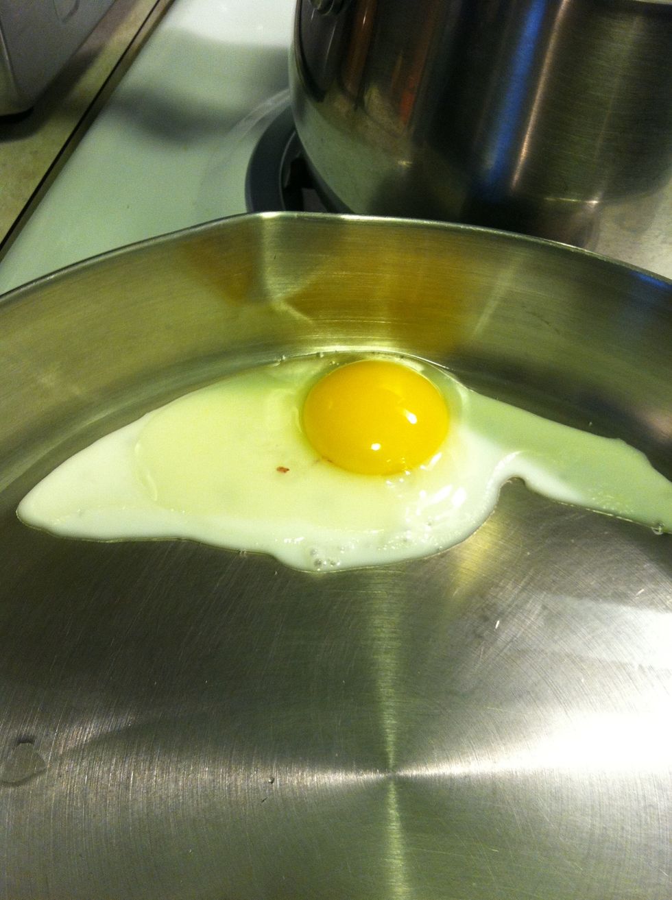 On the same heating setting as before allow the egg to heat up and turn white Note the oil is till coating the bottom of the pan! That shows you the pan is not that hot