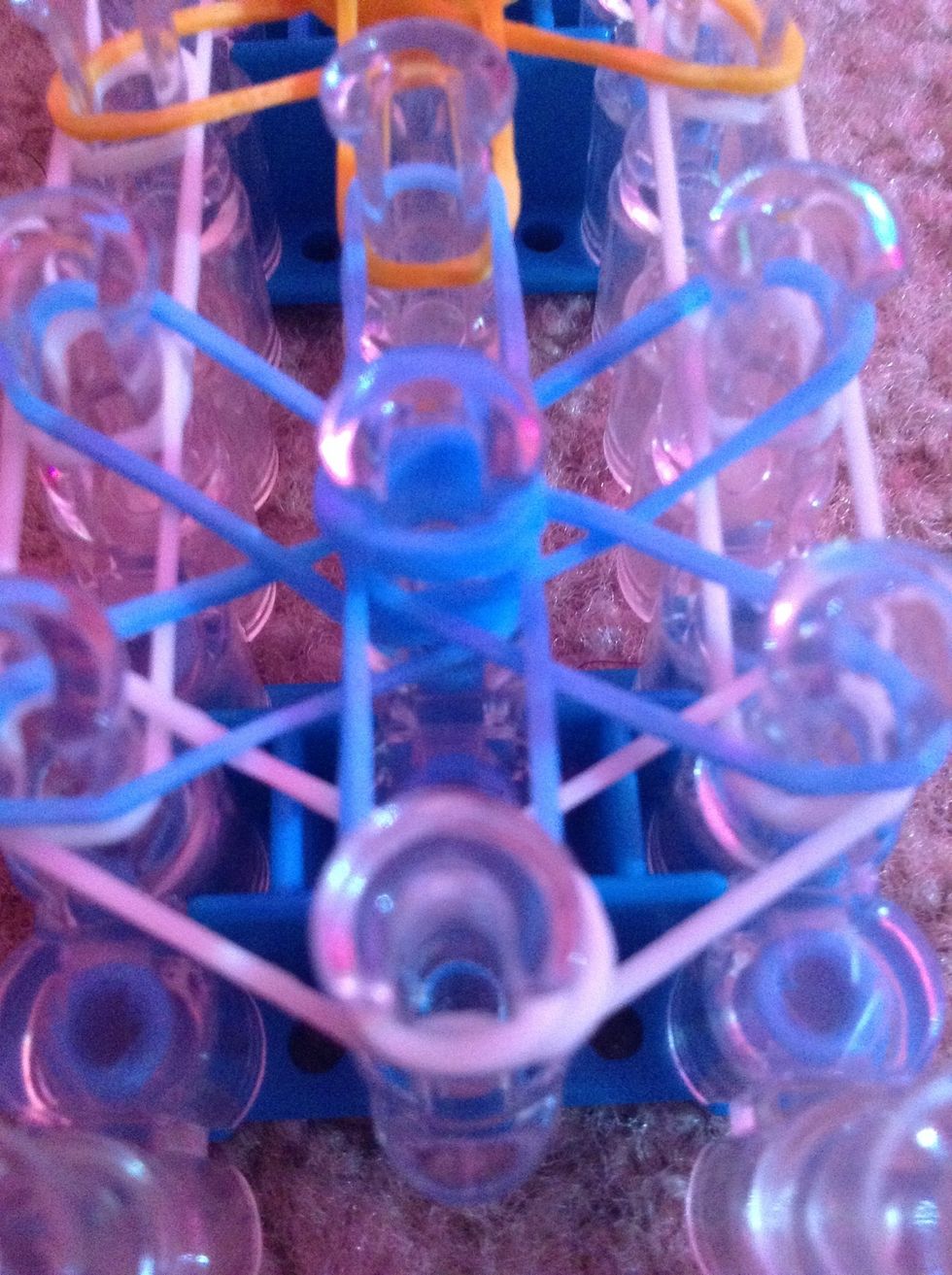 On your star you have a cap band on it in the middle of the star