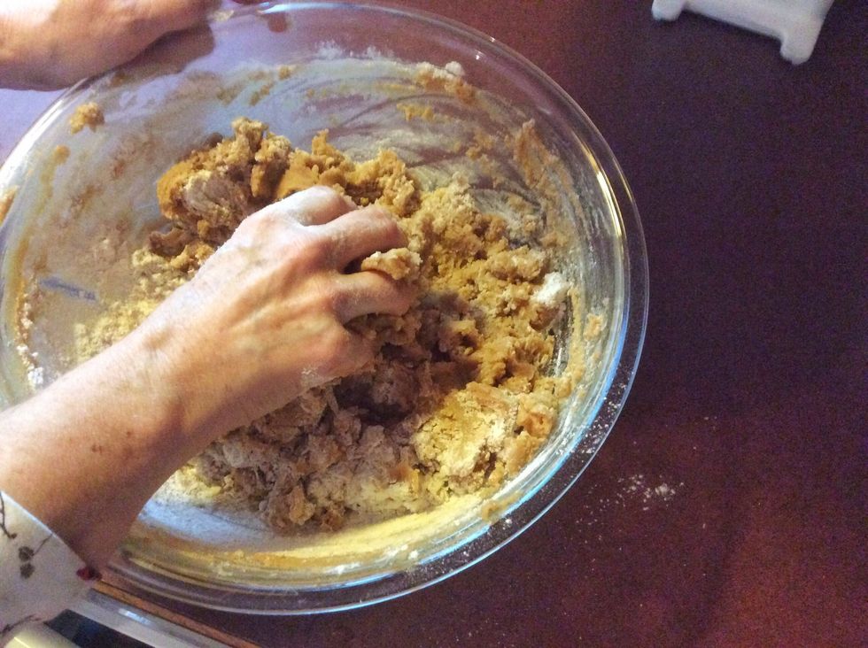 Once again, mix with your hands. You should mix until you see no more flour and when your able to make small circles out of the mixture.