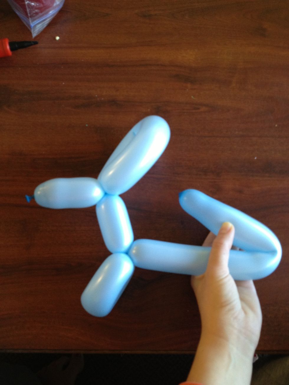 Once again moving down the body of your balloon animal about 5 inches fold the body upward to connect with the top of your dog's back. Once connected twist away from your body 3 times.