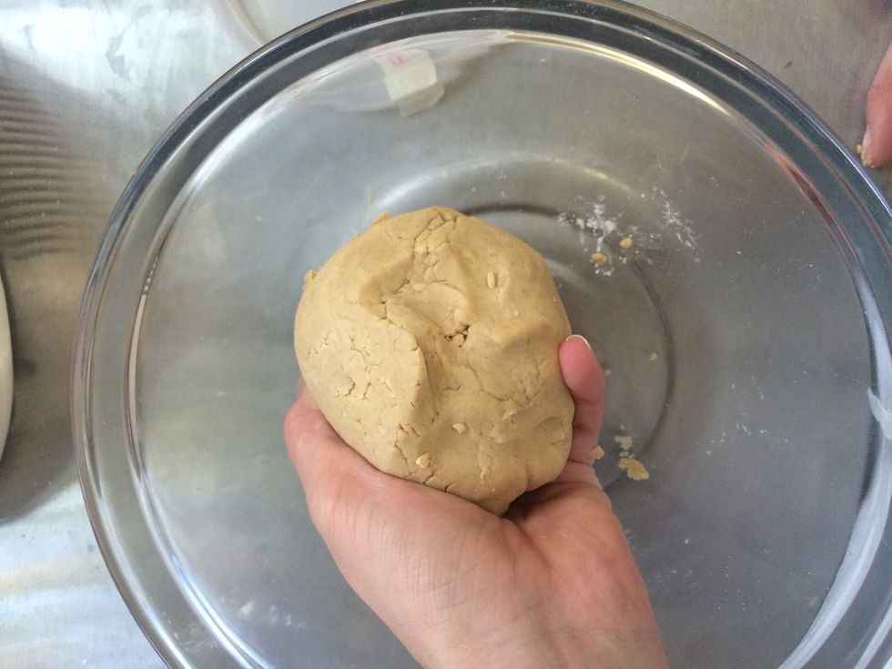 Once blended, place into bowl and squeeze into one smooth ball.