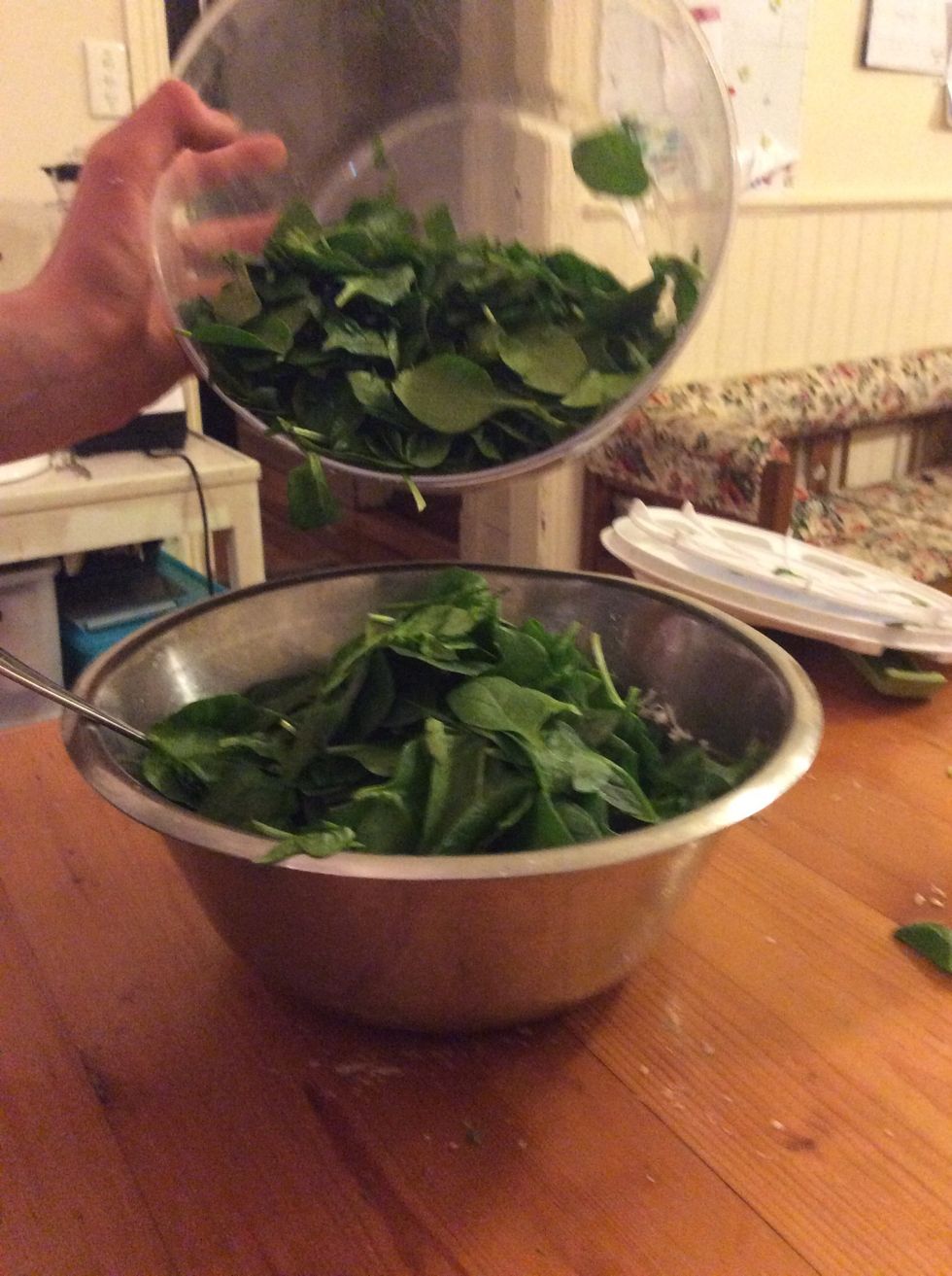 Once cheese mixture is well combined, gradually pour in the spinach and dill.
