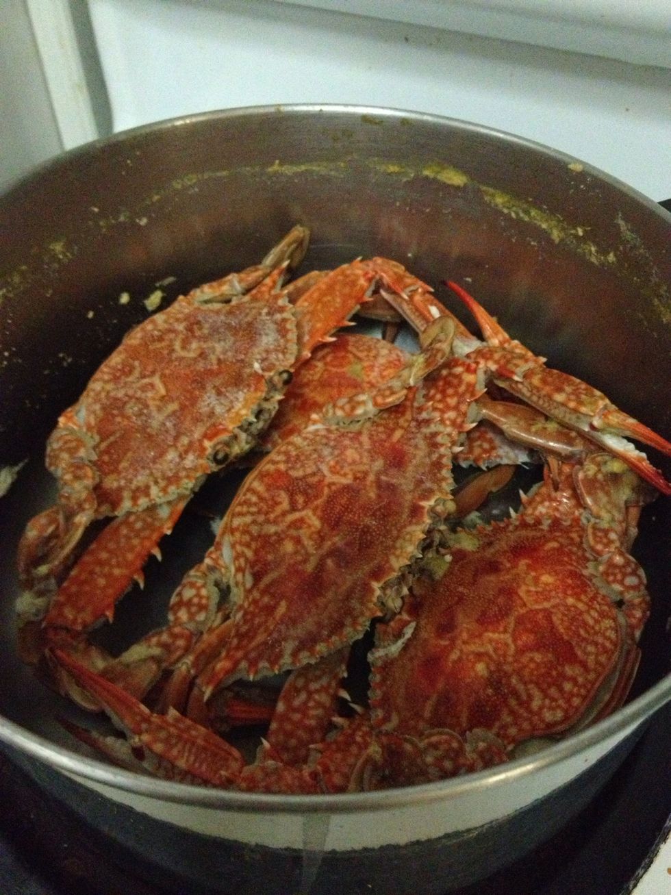Once cook, drain the water and set the Crabs aside. Let it cool. Then fry your Garlic just when it become light brown then add it to your melted butter.