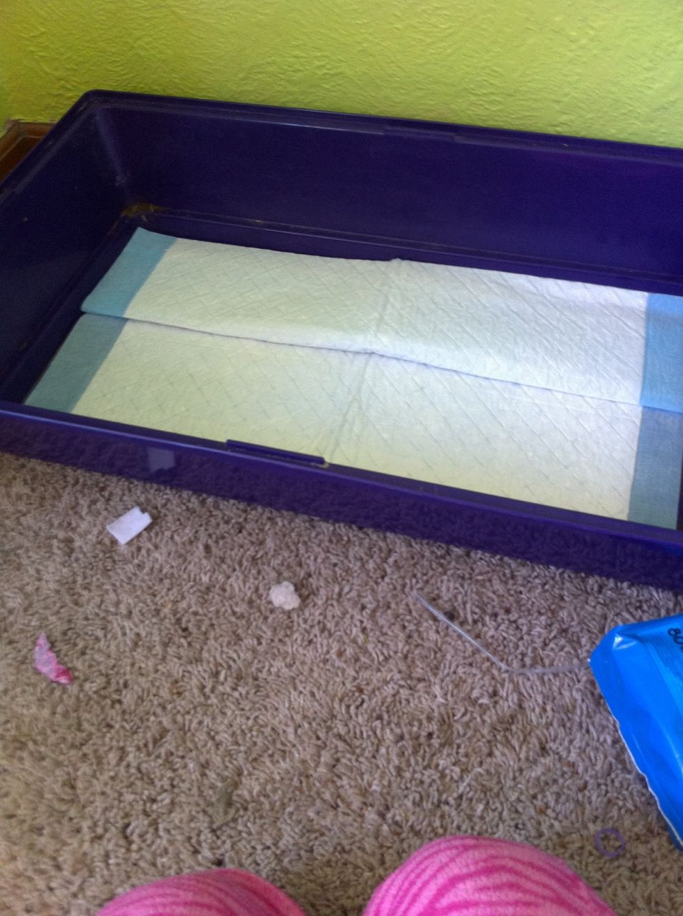 Once dry, add the newspaper or puppy pads.