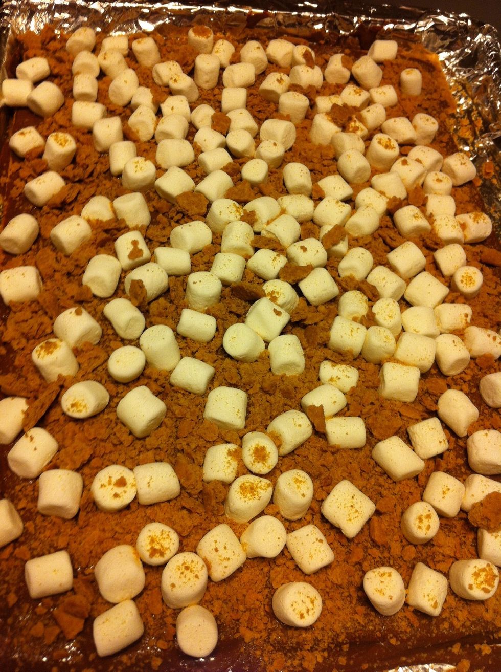 Once everything is set, you are going to want to clear a space in your fridge for your S'more bark. This will take around 30-45 minutes depending on how thick your chocolate is.