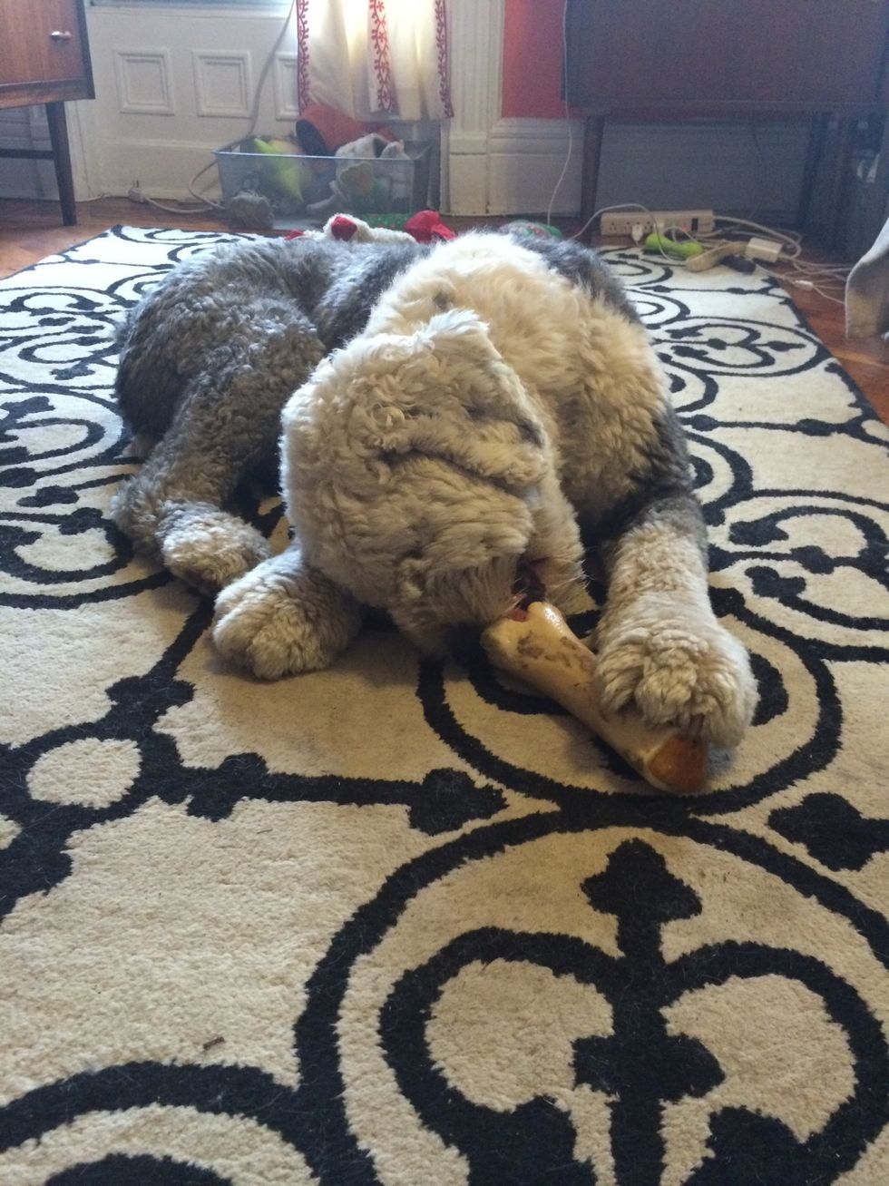 Once frozen, the treat will take about an hour to get through. They won't do anything else during this time.