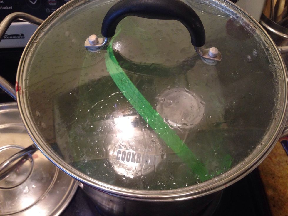 Once it comes back to a boil set timer for 10 mins.